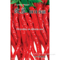 Chinese Vegetable Seeds Long And Thin Hot Chili Pepper Seeds For Yourself Cultivation-Improved 8819